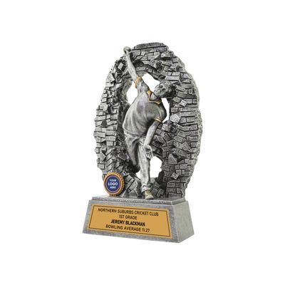 Crash Through Cricket Bowler