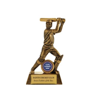 All Action Hero Batsman