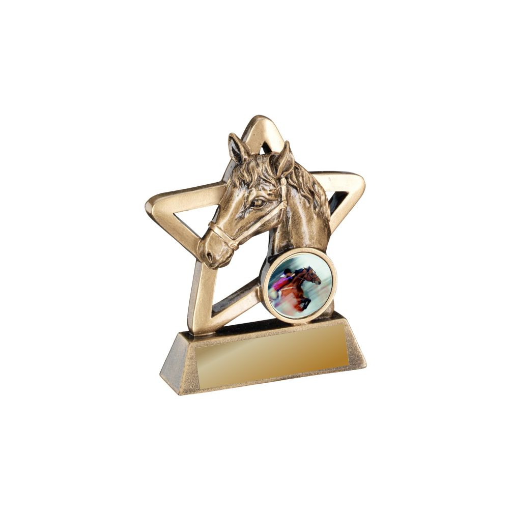 Horse Mini Star