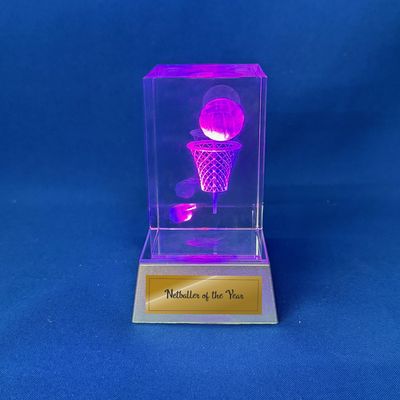 Hologram Netball / Light up Crystal  Block Award