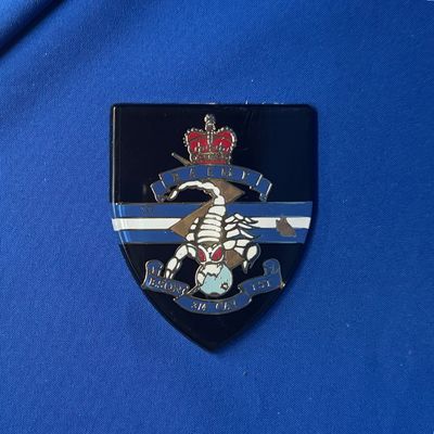 B SQN 3/4 CAV TST Acrylic 76x92mm