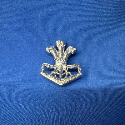Prince of Wales Light Horse Cap Badge - 45x36mm