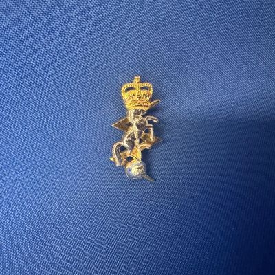 Royal Australian Electrical & Mechanical Engineers Pin 35x18mm