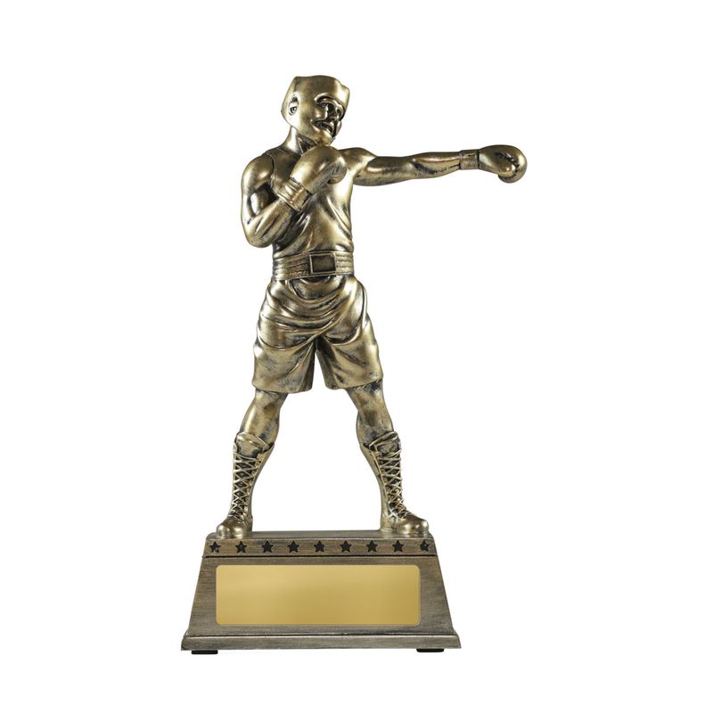 Boxing Resin Boxing Resin