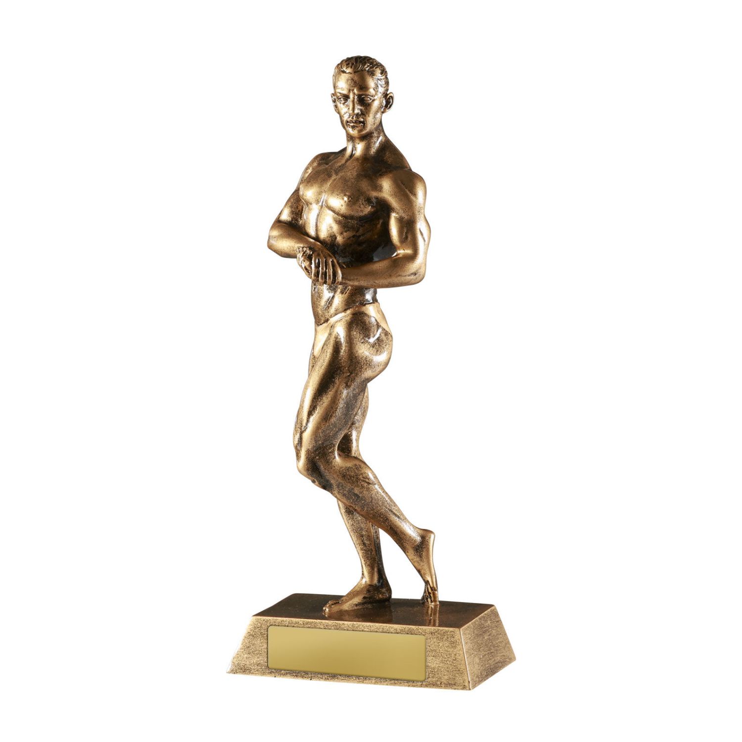 Bodybuilding Male - 305mm