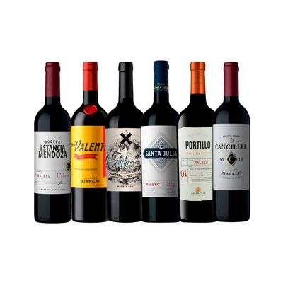 KIT 6 VINOS MALBEC