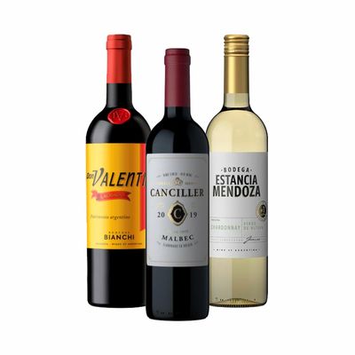 KIT 3 VINOS TODOKIT Nº 2