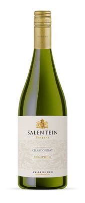 SALENTEIN RVA. CHARD. x750cc