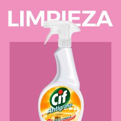 LIMPIEZA