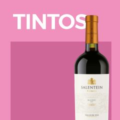TINTOS