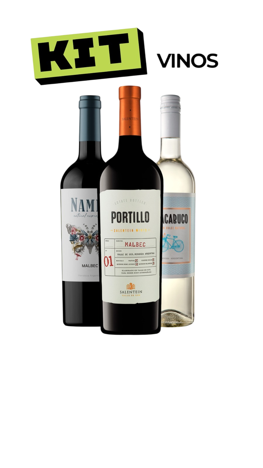 KIT 3 VINOS TODOKIT