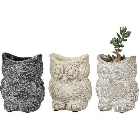 Cement Owl Planter minis