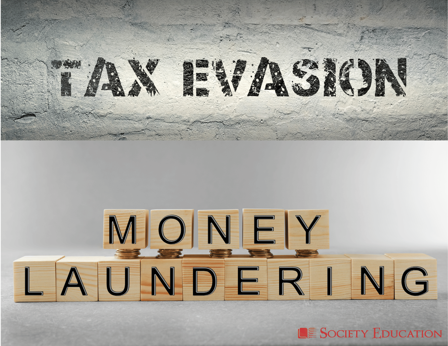 Money Laundering &amp; Tax Evasion