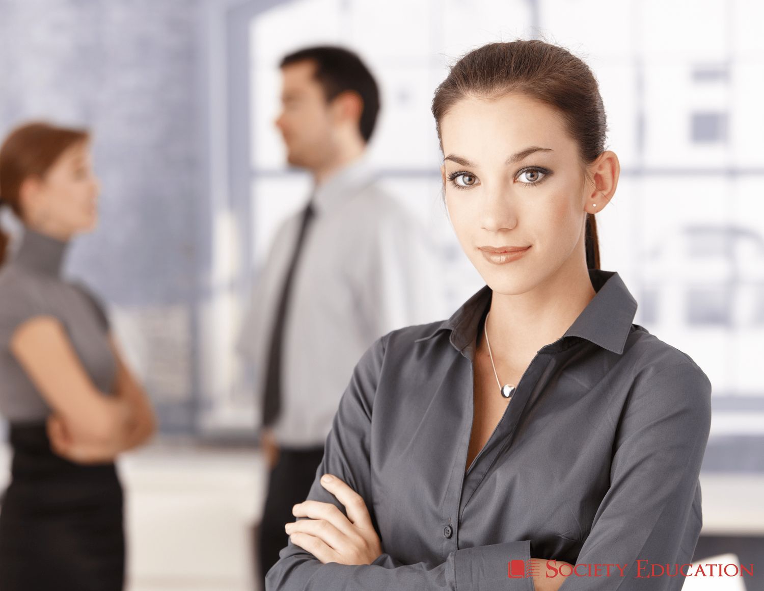 GAPSME (General Accounting Principles for Small and Medium-Sized Entities)