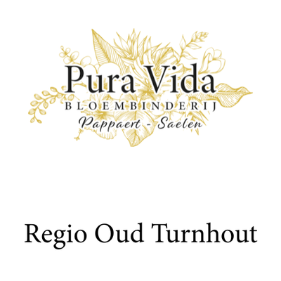 Regio Oud Turnhout