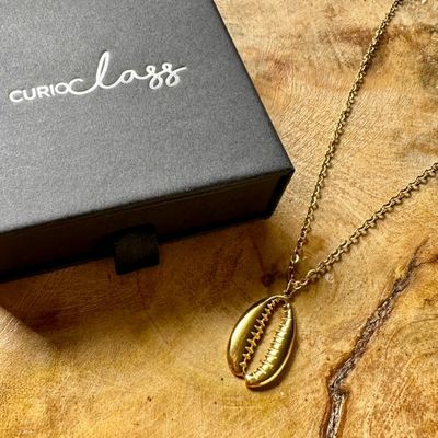 Free Gift 2: Curioclass Necklace