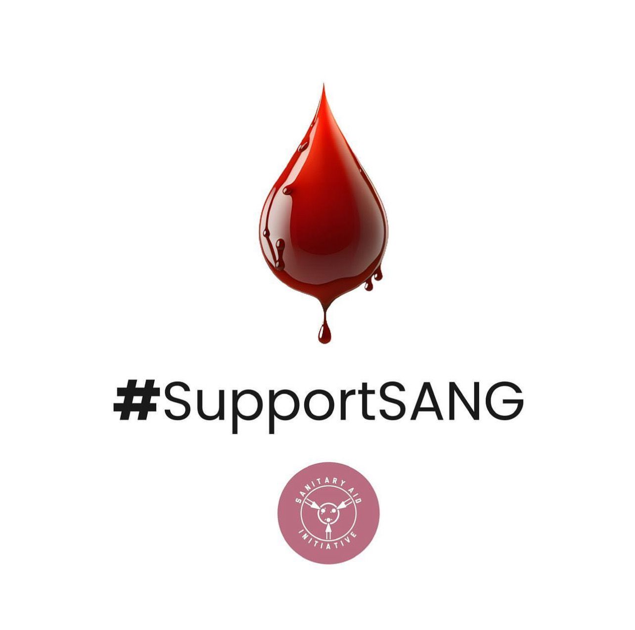 Donate to Sanitary Aid NG