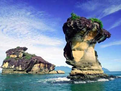 Kuching- National Parks Return Transfer (Bako/ Kubah/Gunung Gading)
