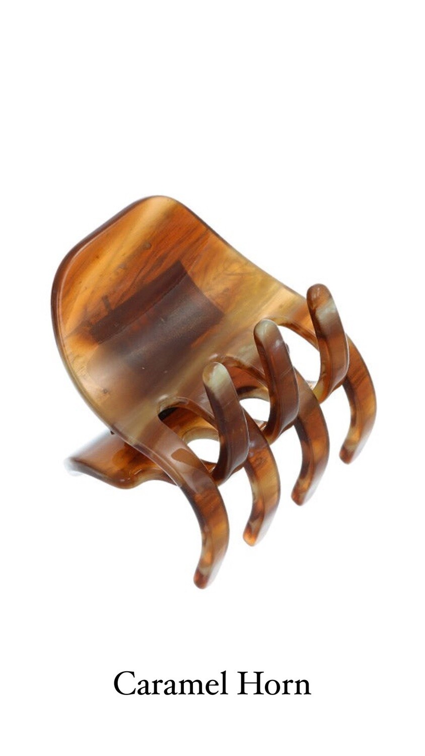 Medium Gallery Jaw