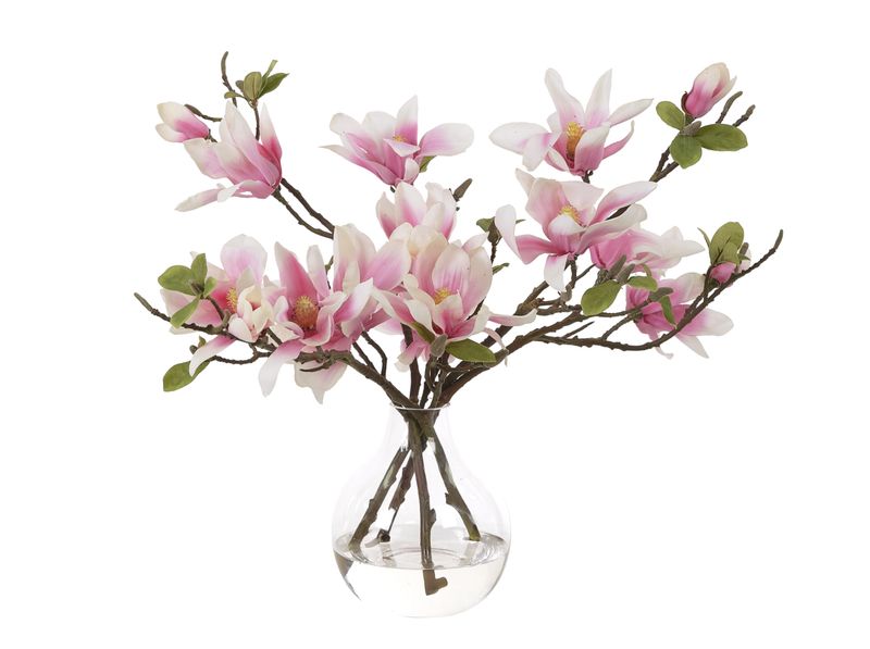 NDI Florals Magnolia