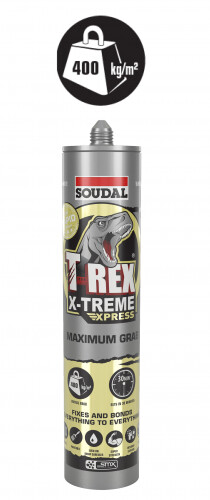 T-Rex Power X-Treme (Black) 290ml