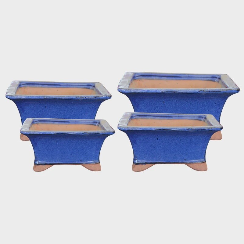 Bonsai IZUMI Square LGE Blue 24x24x11