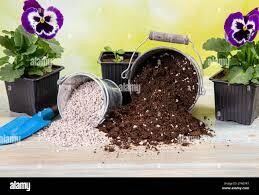 Plants/Pots/Potting Mixes/Fertilisers/Soil Improvers