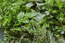 Herbs Now Range