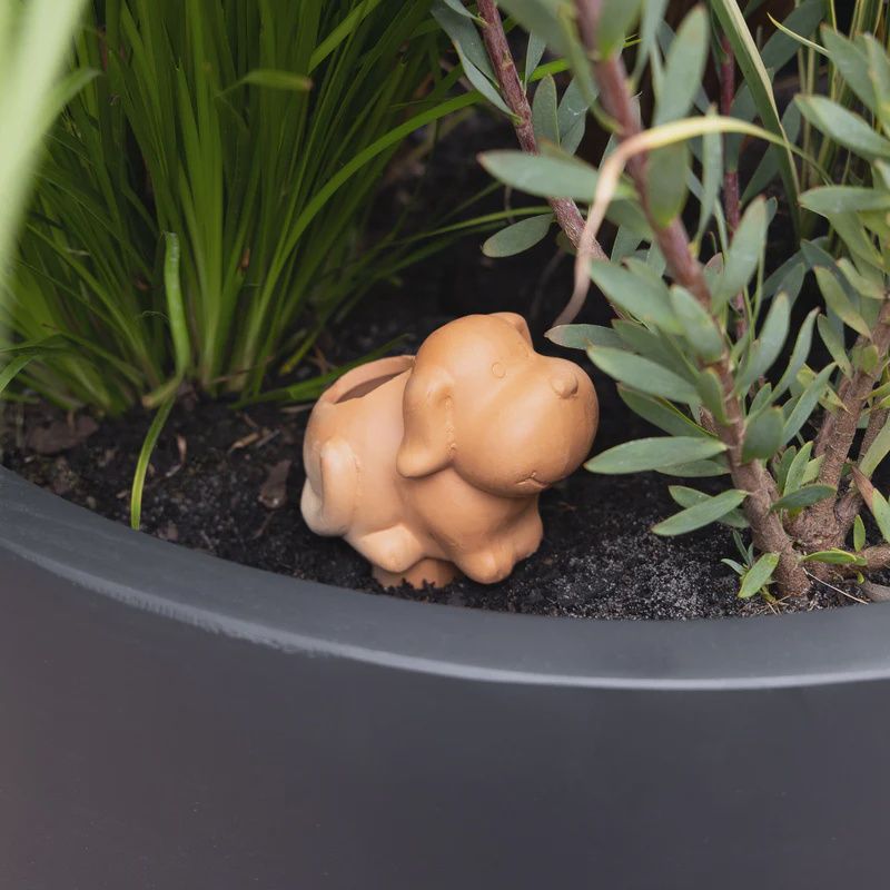 Watering Terracotta Dog