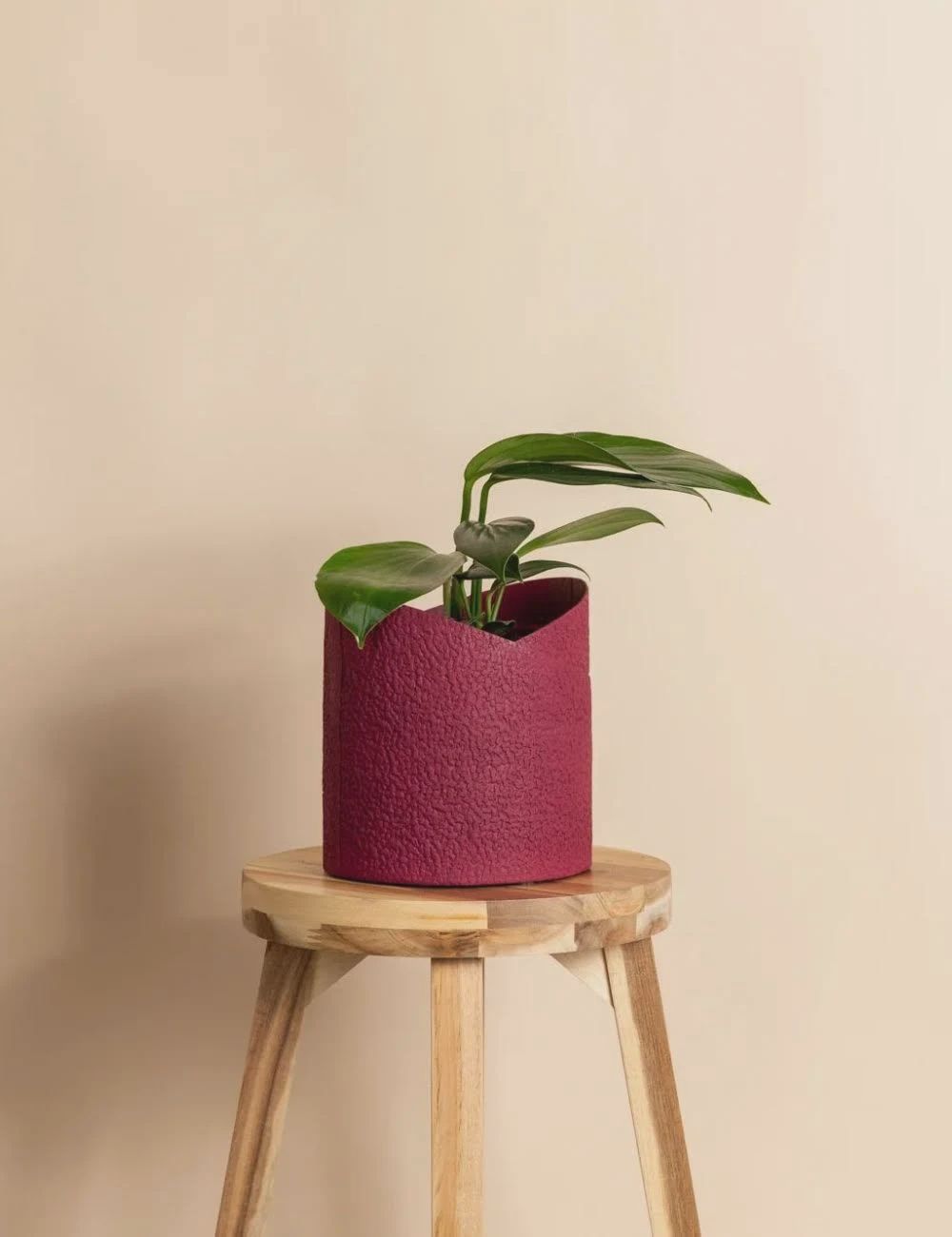 Cacoon Berry Pot Small  3L
