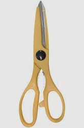 Scissors Garden (Yellow)