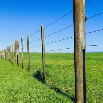 Fencing, Wire &amp; Gates
