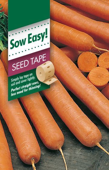Carrot Manchester Seed Tape