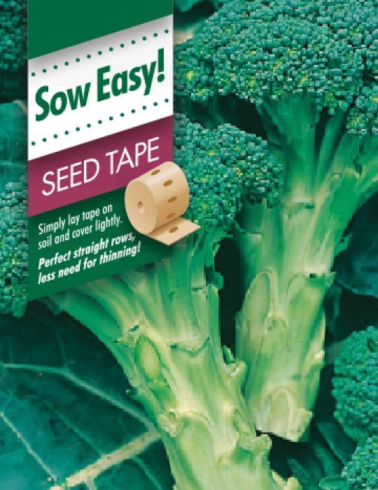 Broccoli Italian Sprouting Seed Tape