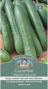 Cucumber Seeds Telegraph Improved