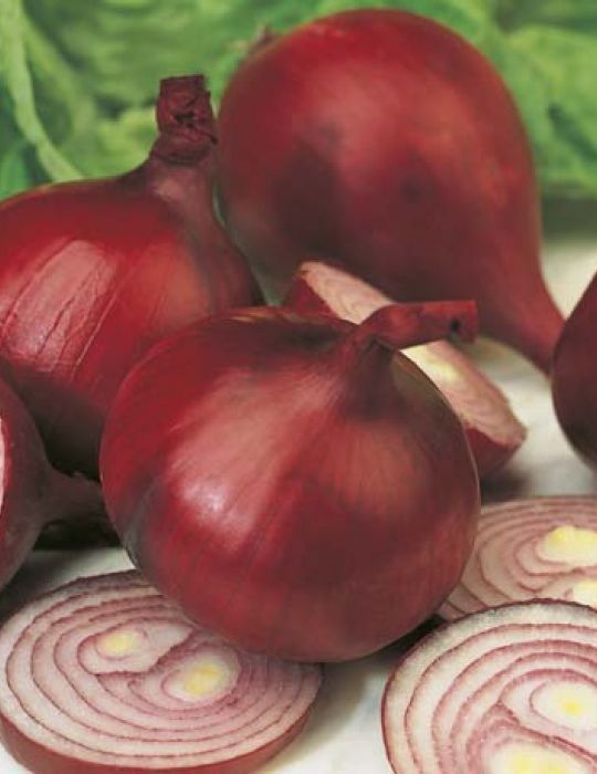 Onion Early Californian Red Seeds