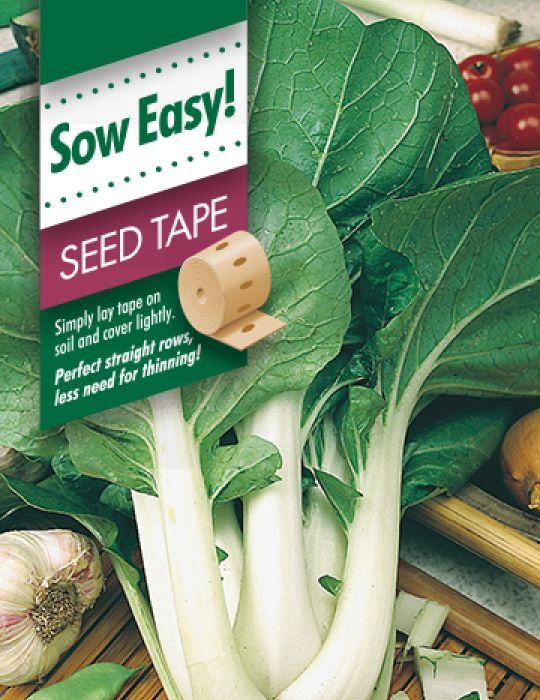 Pak Choi Seed Tape (Buk Choy)
