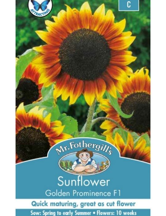 Sunflower Golden Prominence