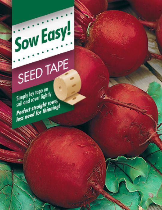Beetroot Boltardy Seed Tape