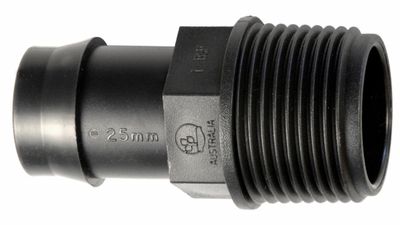 Director 25mm x 1'' BSP