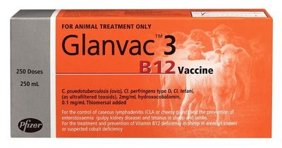Glanvac 3, B12, 250ml