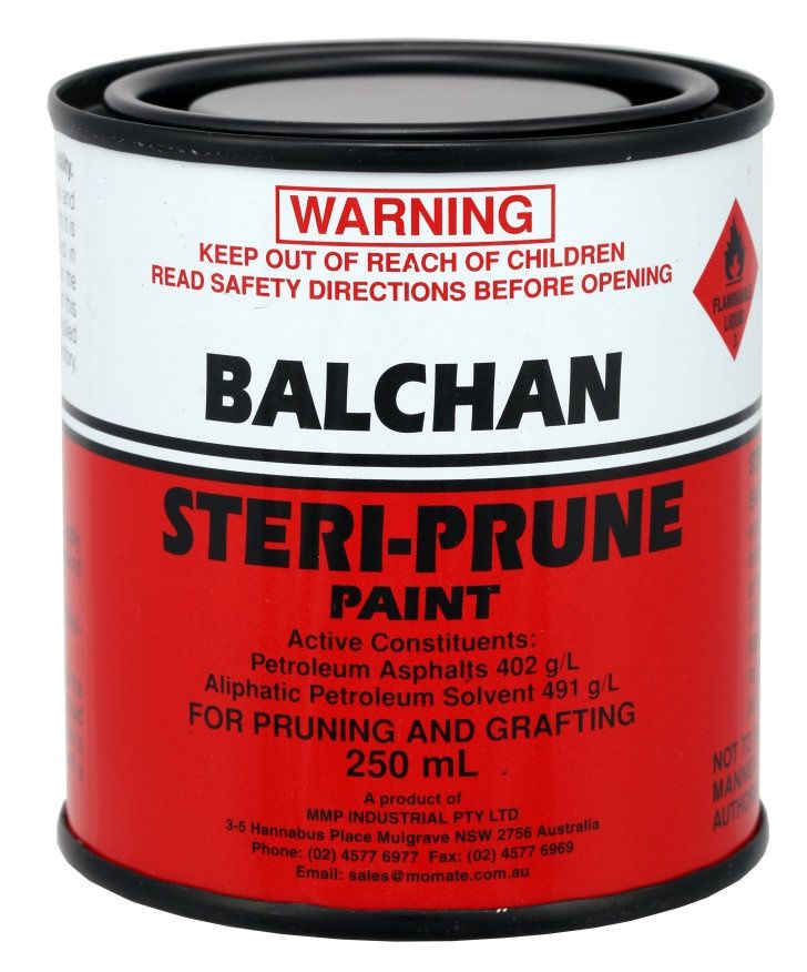 Steri Prune Brush 250ml