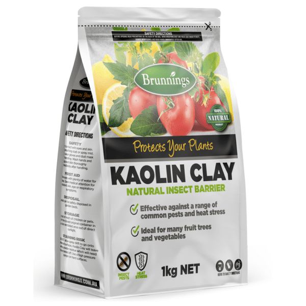 Kaolin Clay 1kg