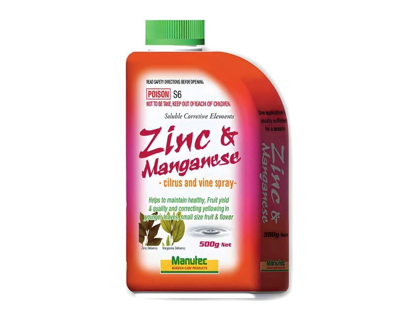 Zinc &amp; Manganese 500g
