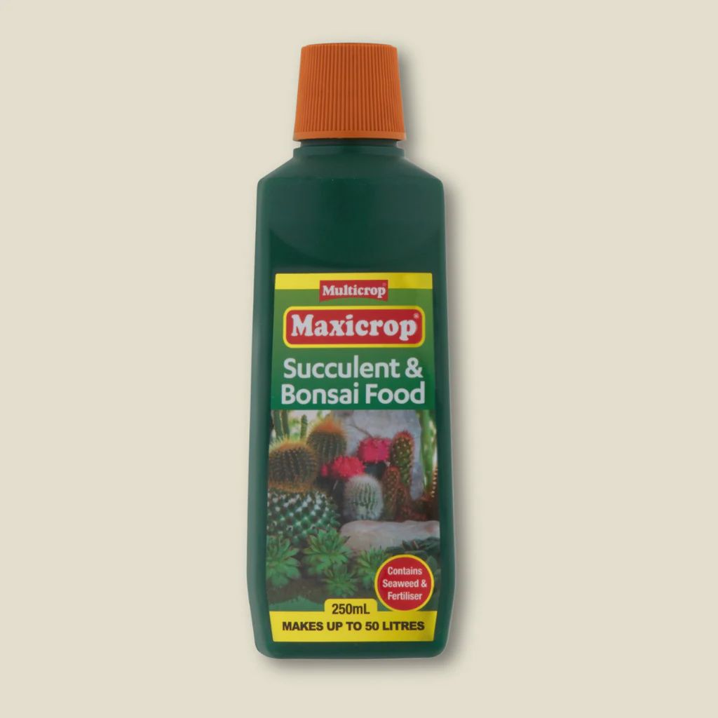 Succulent &amp; Bonsai Food 250ml