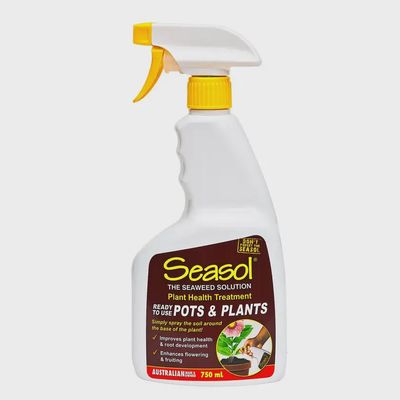 Seasol Pots &amp; Planters Spray 750ml