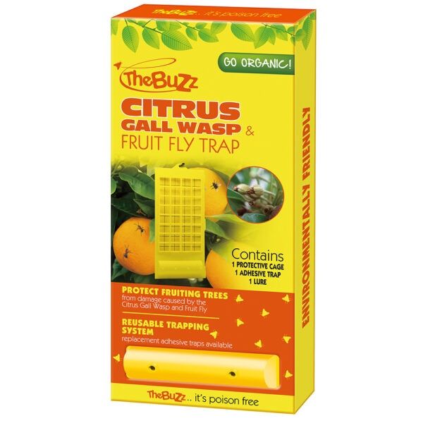 Citrus Gall Wasp &amp; Fly Trap