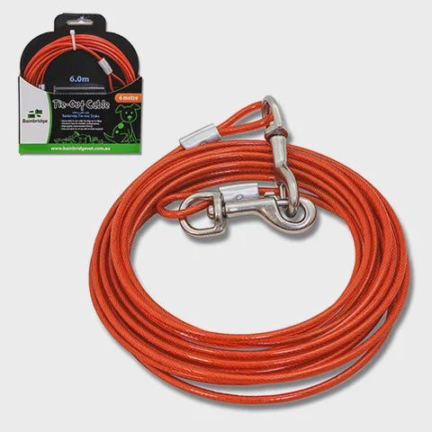 Tie-Out Cable 6mtr