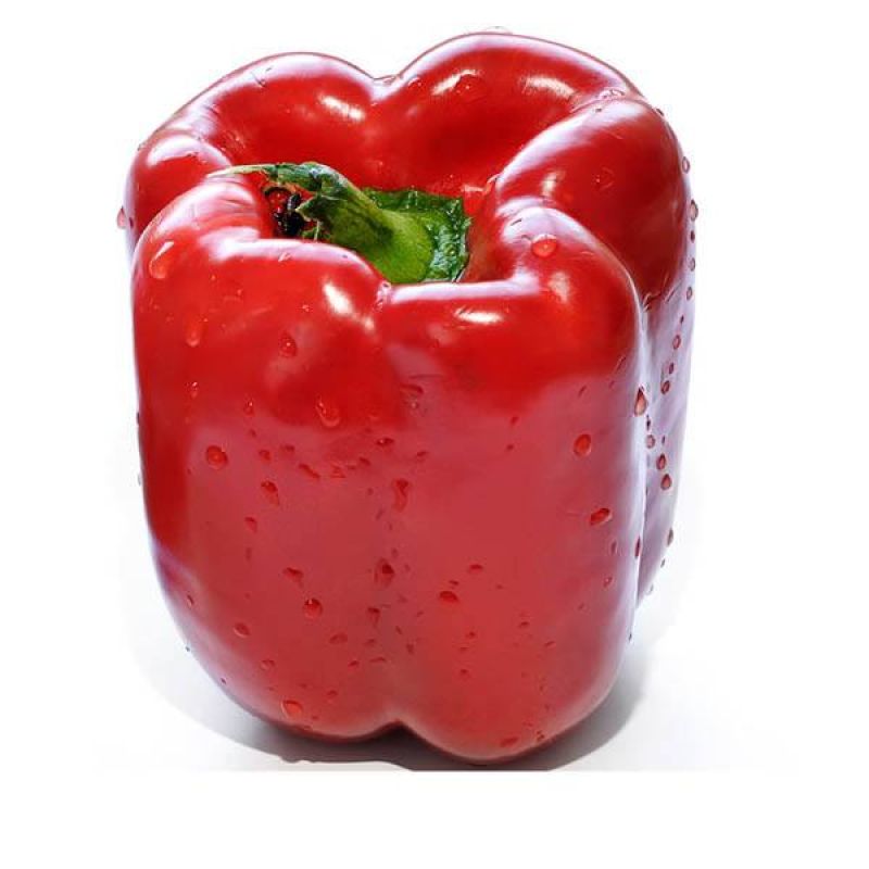 Capsicum Big Red
