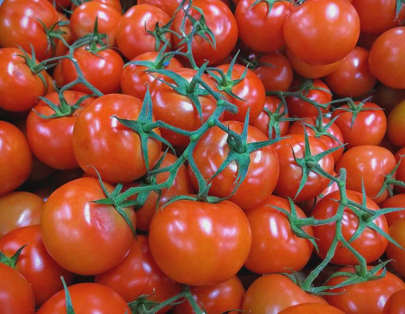 Tomato Red Truss 100mm